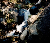 Montana1997  026
